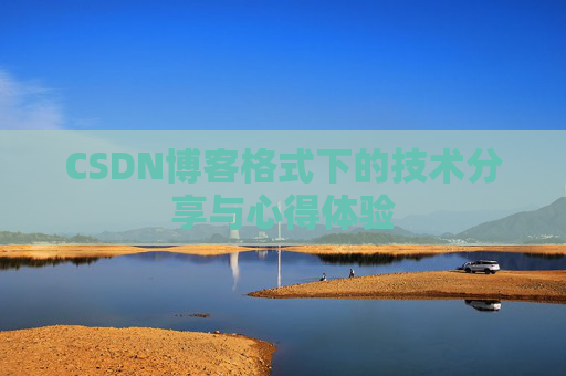CSDN博客格式下的技术分享与心得体验